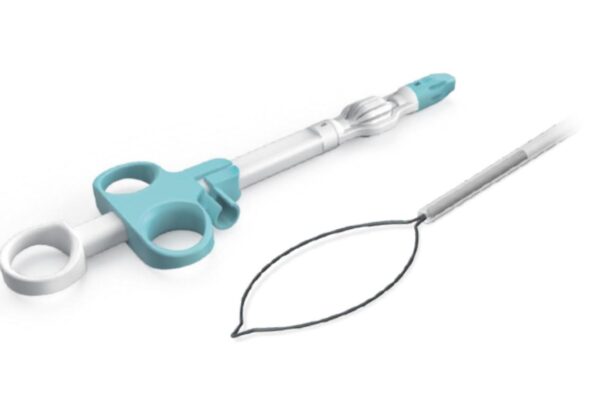 Disposable Rotatable Snare